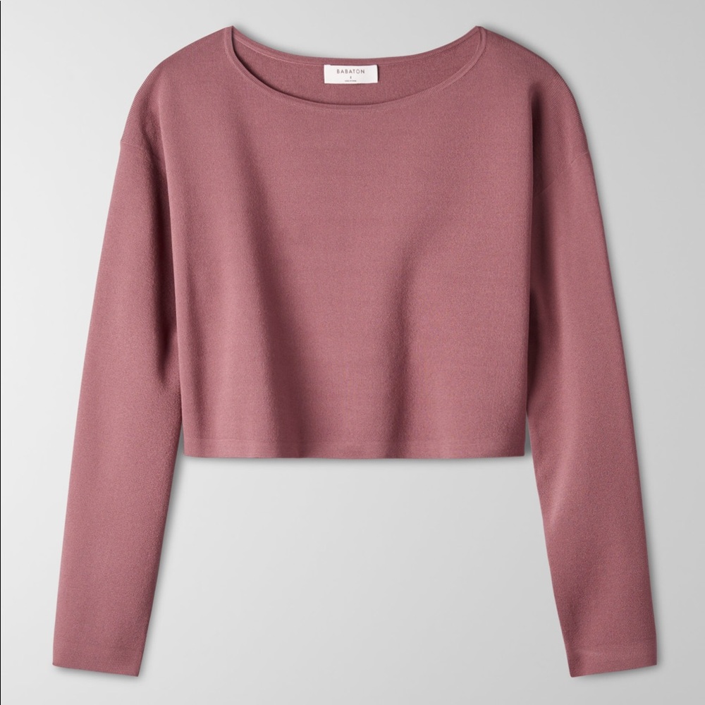 Aritzia Babaton Hessy Sweater (S)